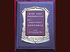 2010年度安徽百姓信任企業(yè)（安徽華盛房地產(chǎn)開(kāi)發(fā)有限公司）